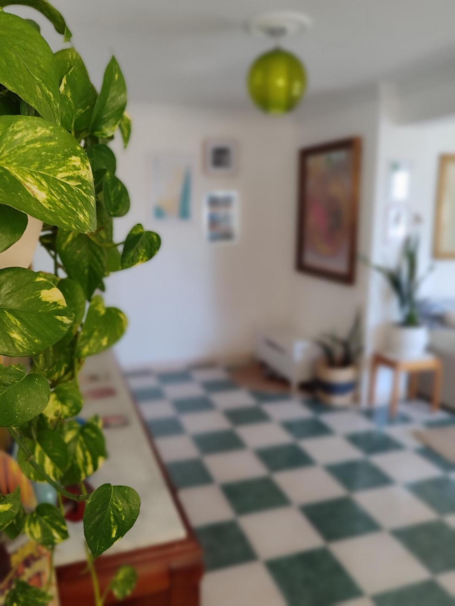 Homestay Private Bathroom In Shared 50m From Gibraltar *